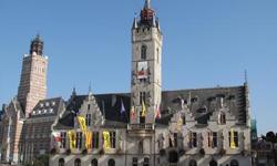Developing a web application for easy case management at the City of Dendermonde