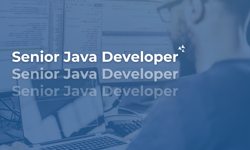 Senior Java Developer