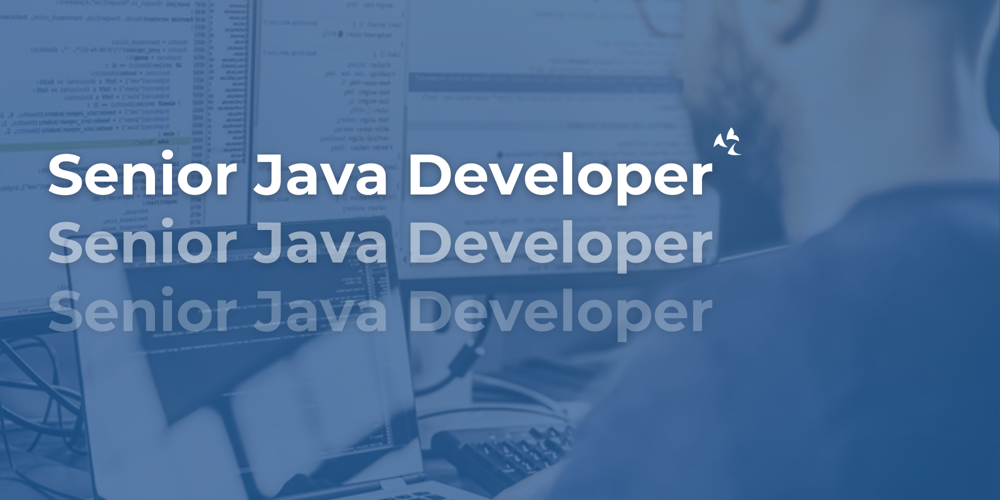 Senior Java Developer