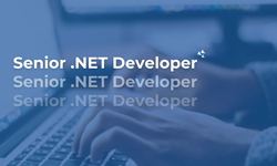 Senior .NET Developer