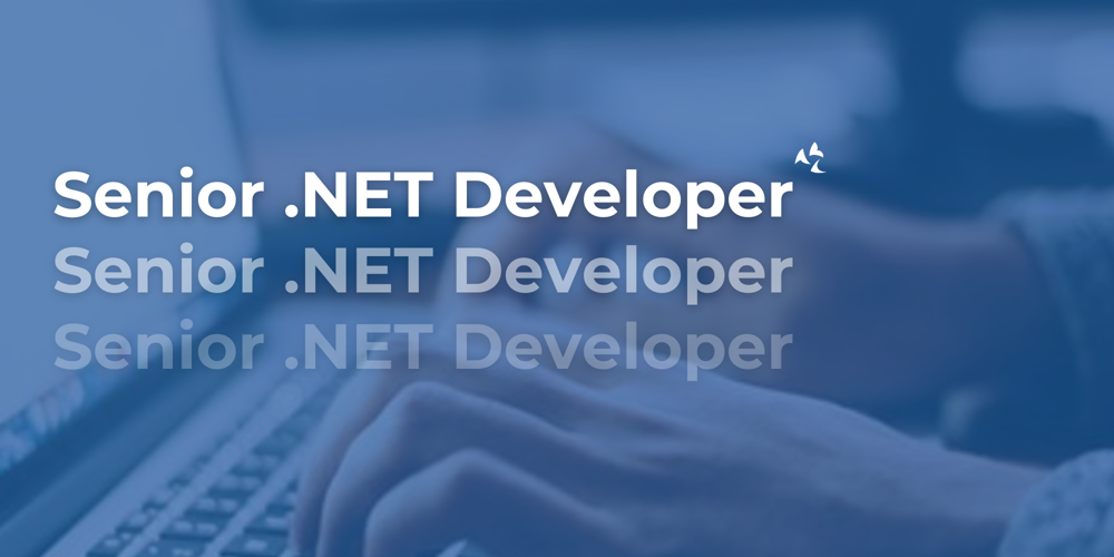 Senior .NET Developer